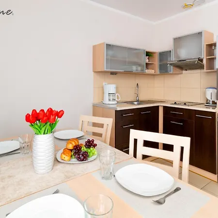 Wonder - Blisko Stoku, Centrum I Aquparku Apartment *